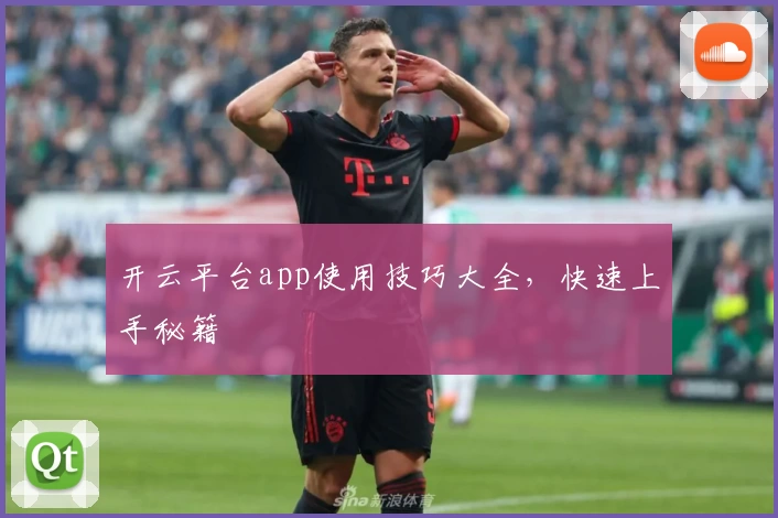 开云平台app使用技巧大全，快速上手秘籍